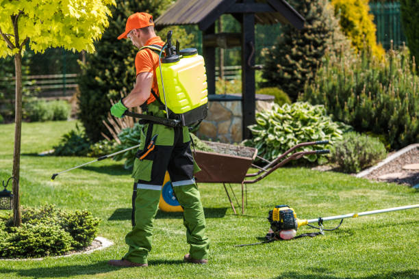 Lawn Pest Control in Brighton, CO